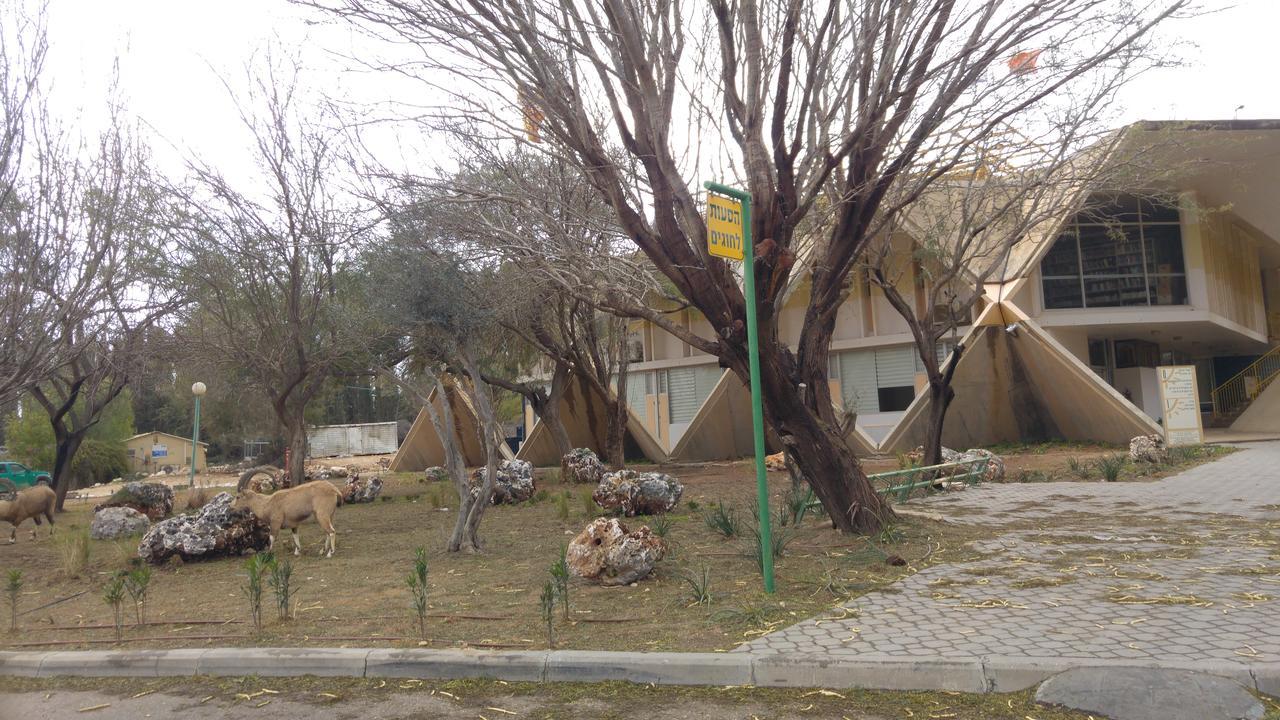 Margo Zimmer Villa Midreshet Ben Gurion Buitenkant foto